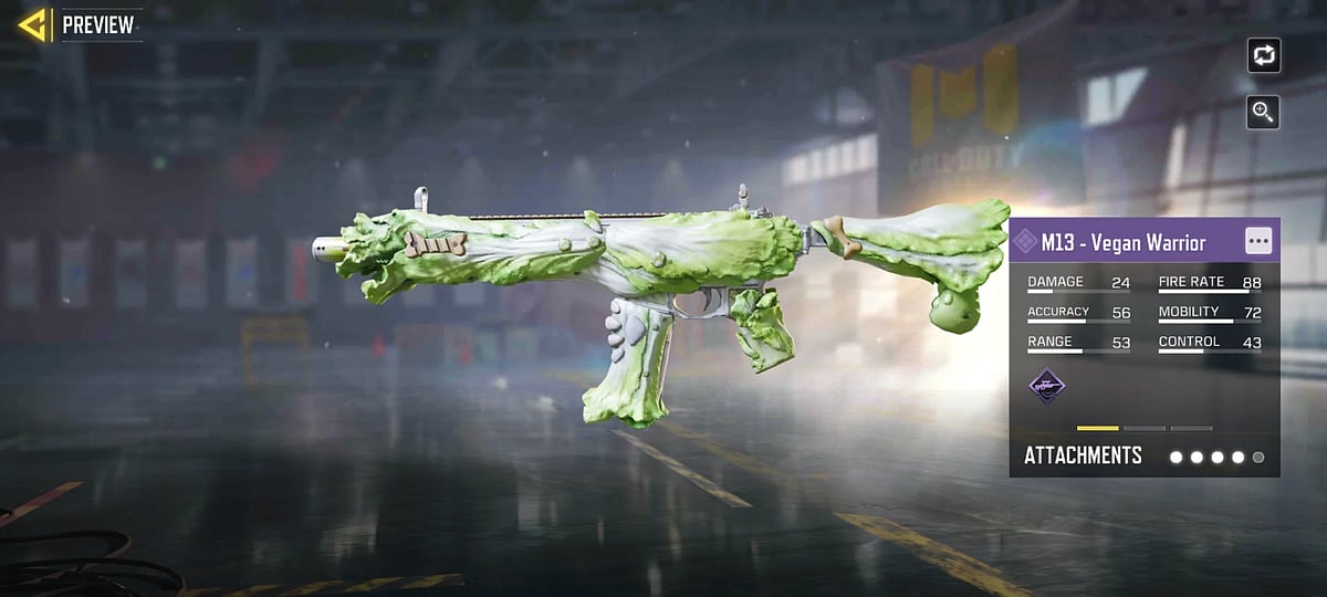 M13 Vegan Warrior COD: Mobile