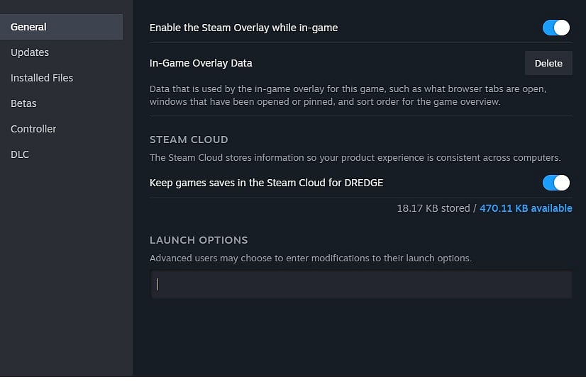 Staem Launch Options