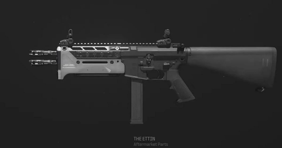 <div class="paragraphs"><p> JAK Ettin Double Barrel Kit</p></div>
