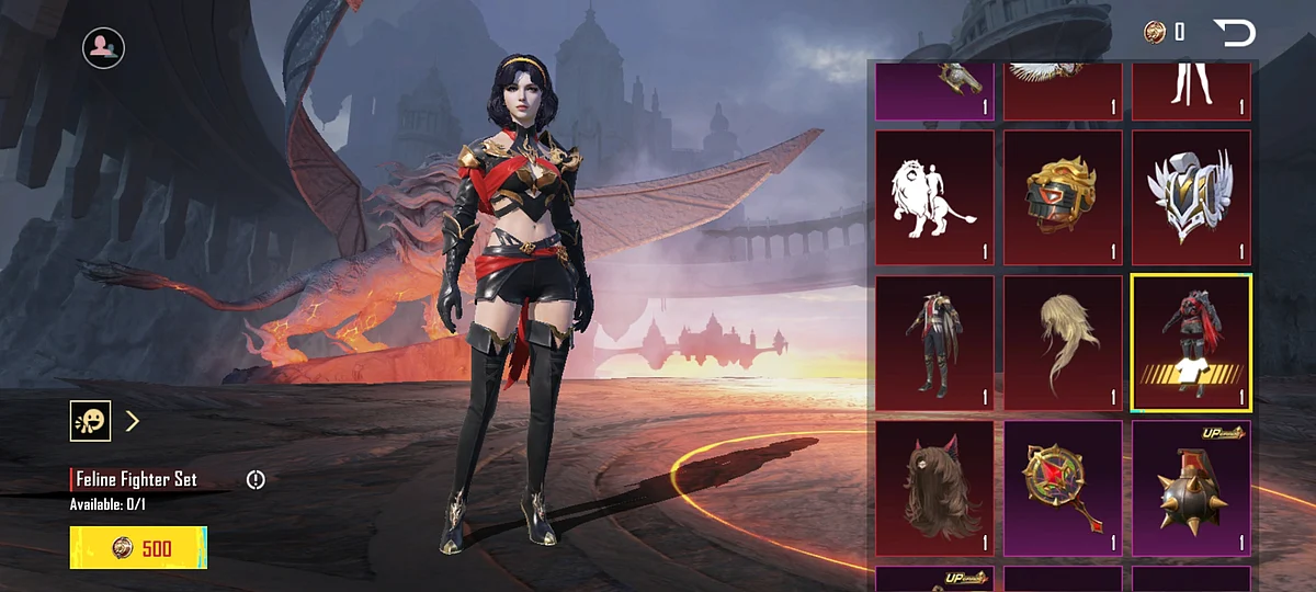 Feline Fighter Set