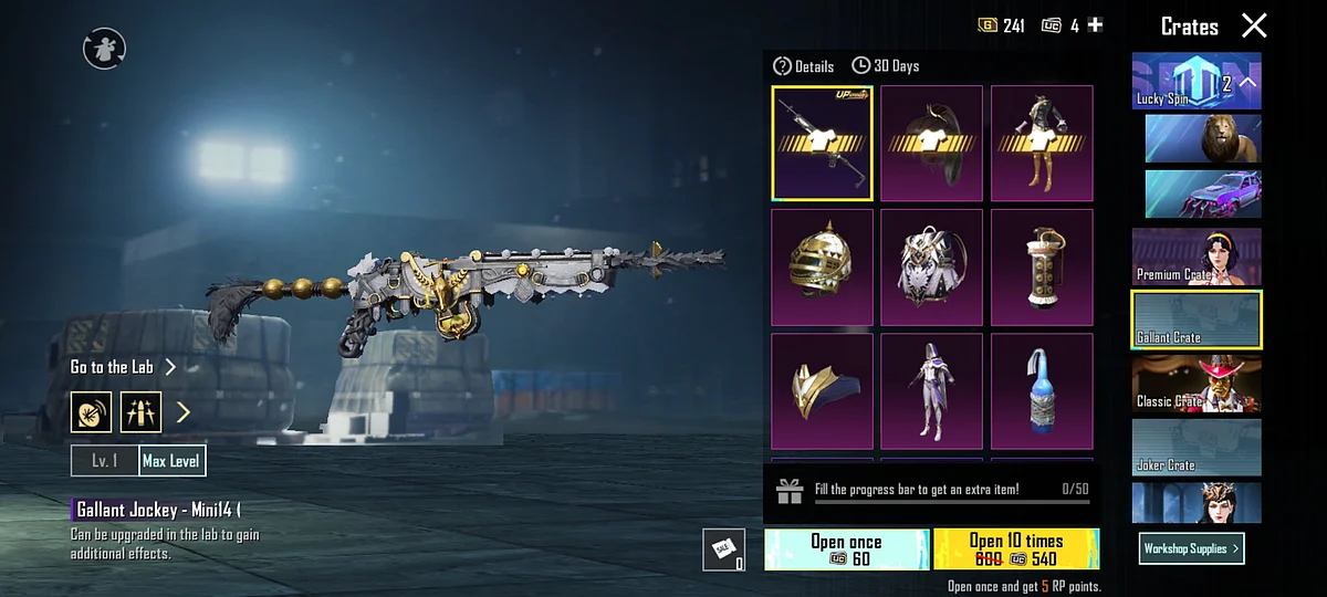 Mini14 Skin