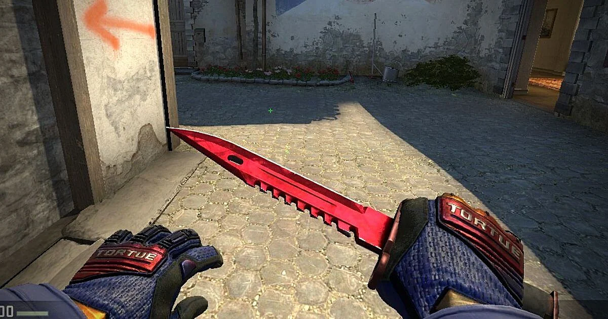 CS:GO Pro Unknowingly Uses a Knife With an Offensive Name Tag