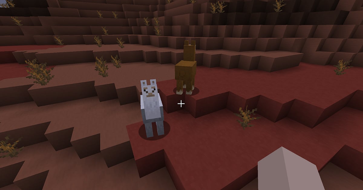 How to Breed Llamas in Minecraft