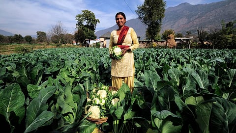 Organic Farming