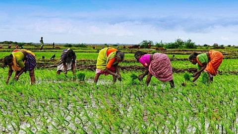 Indian Agriculture