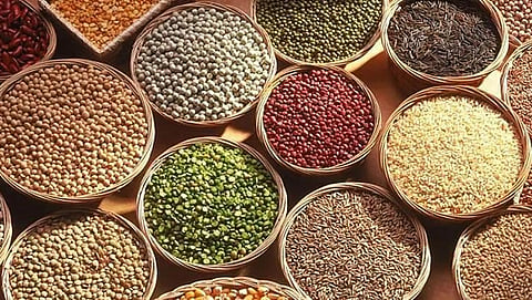Millet