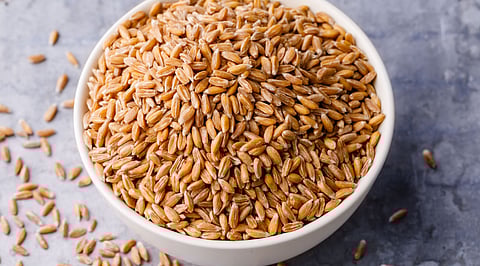 Indian Wheat
