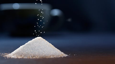 Sugar Production