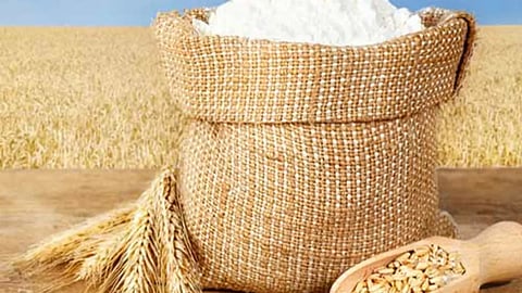 Wheat Price