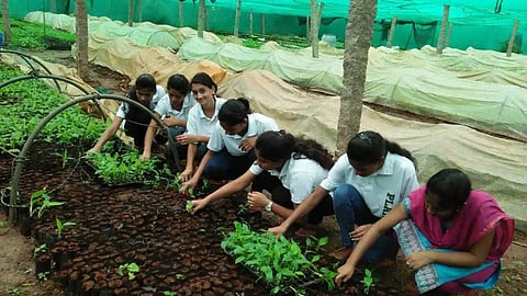 Agriculture Coerces