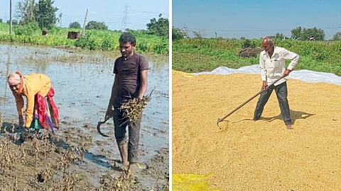Crop Harvesting