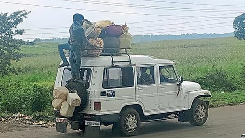 Migration