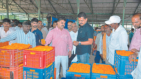 Chandwad APMC