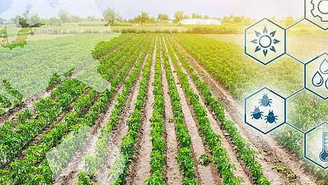 Agri. Innovation Program