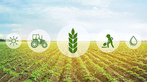 Agriculture Economy 