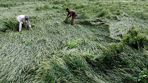 Crop Harvesting