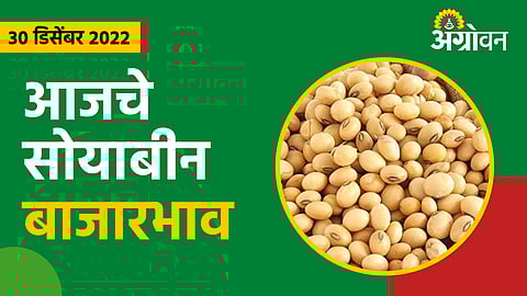 Soybean rate 