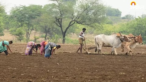 Farmer Literature
