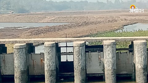 Kolambi Project