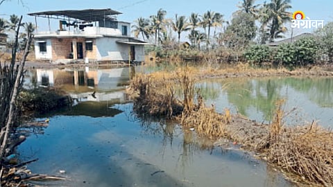 Shahpur News