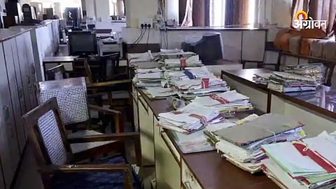 Agricultural Department