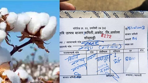 Cotton Market