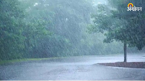 Rain Forecast : बहुतांशी जिल्ह्यांत पावसाची शक्‍यता