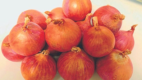 Onion Verity