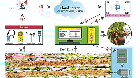 Irrigation Management