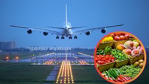 Agriculture Export