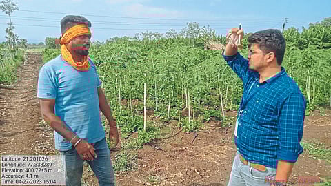 Panpimpari Production