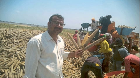 Bajara Production
