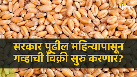 Wheat Market