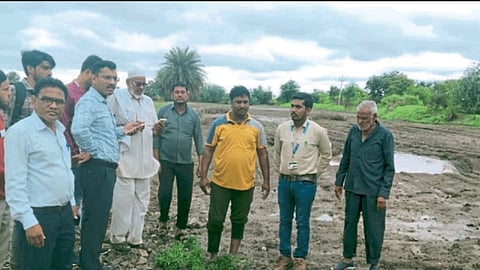 Crop Damage