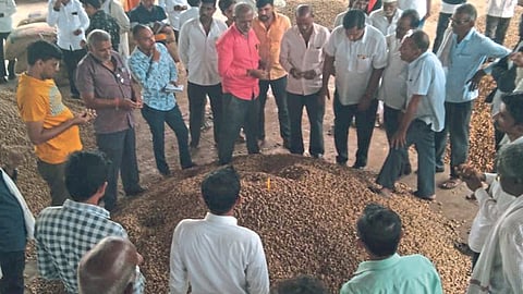 Groundnut