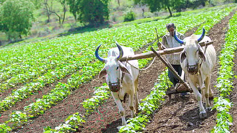 Accident Protection Scheme