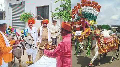 Bail Pola