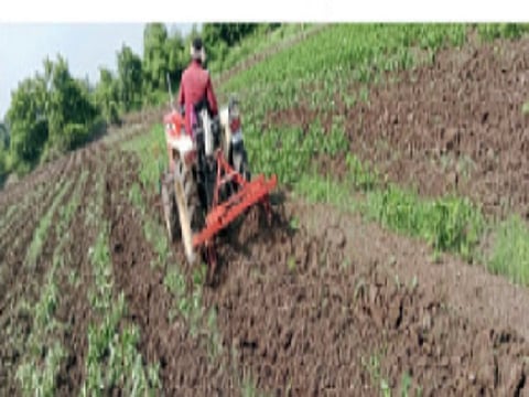 Kharif Season