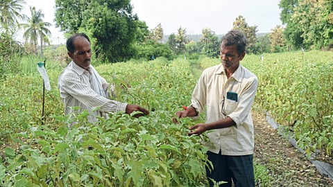 Agriculture Technology