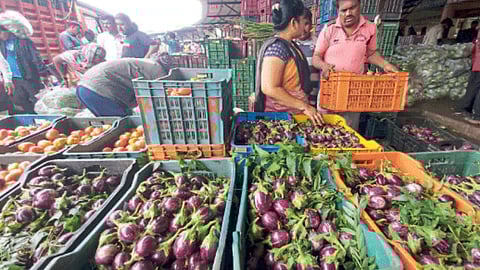 Agriculture Market