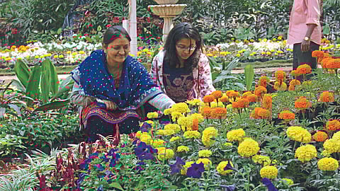 Flower Exhibition