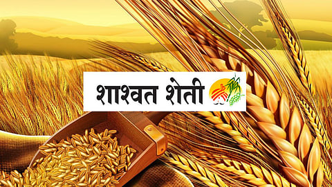 Sustainable Agriculture