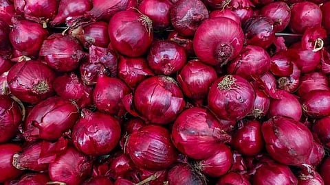 Onion