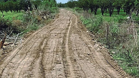 Panand Road