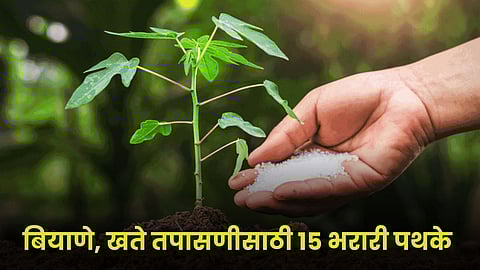 Kharif Season