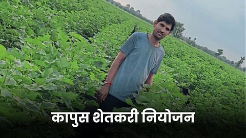 Cotton Farming