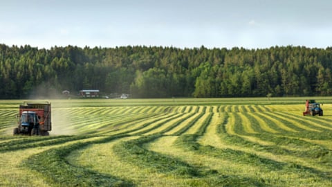 Agriculture In Sweden