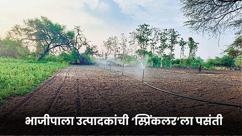 Agriculture