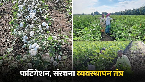 Agriculture Technology