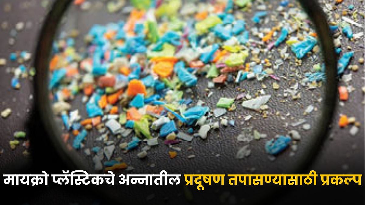 Environmental Impact | मायक्रो व नॅनो प्लॅस्टिकमुळे अन्न प्रदूषित ...